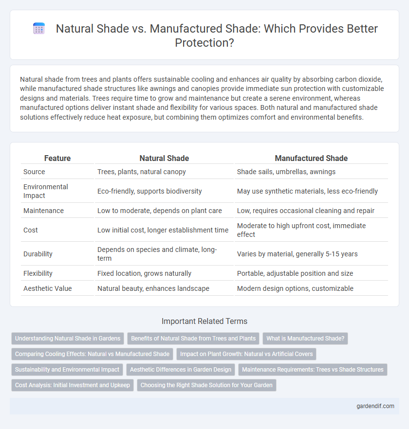 Natural Shade vs. Manufactured Shade: Which Provides Better Protection?