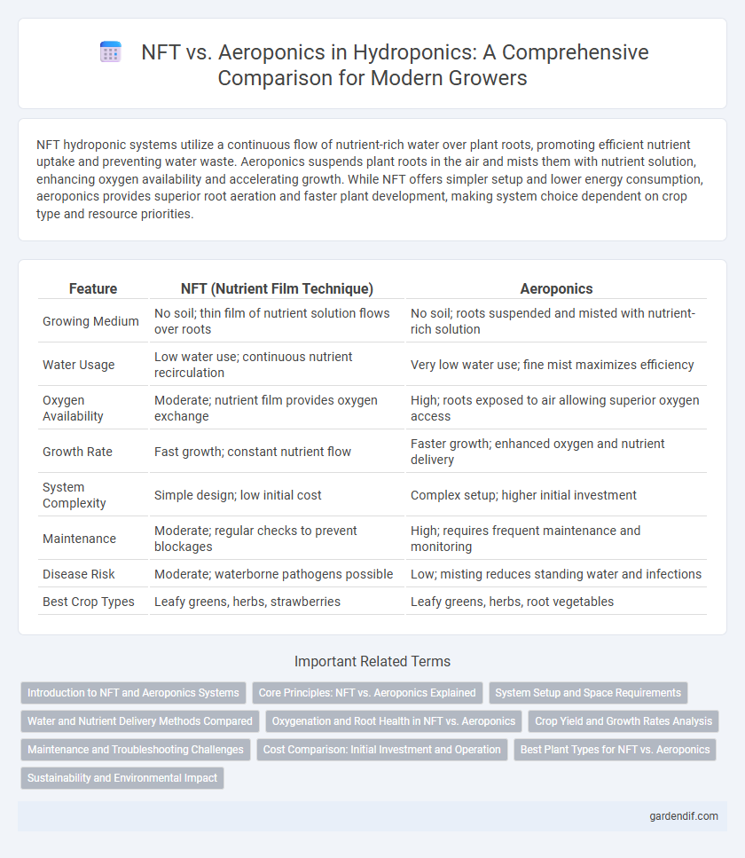 NFT vs. Aeroponics in Hydroponics: A Comprehensive Comparison for Modern Growers