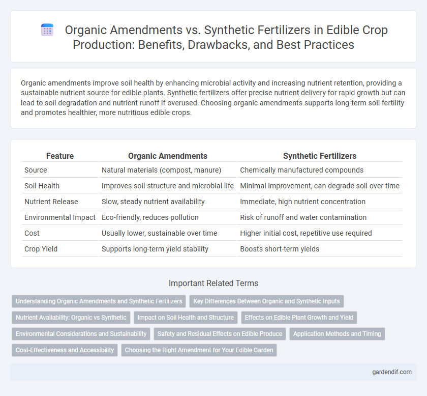 Organic Amendments vs. Synthetic Fertilizers in Edible Crop Production: Benefits, Drawbacks, and Best Practices