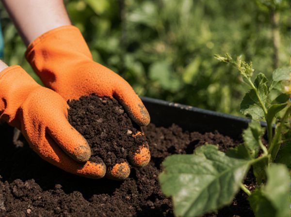 Organic Compost vs. Synthetic Fertilizer: Which Is Better for Organic Gardening?