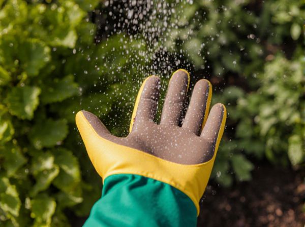 Overhead Sprinkling vs. Subsurface Irrigation: Which Watering Method Is Best for Your Garden?