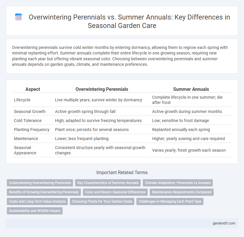 Overwintering Perennials vs. Summer Annuals: Key Differences in Seasonal Garden Care