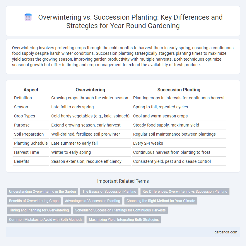 Overwintering vs. Succession Planting: Key Differences and Strategies for Year-Round Gardening