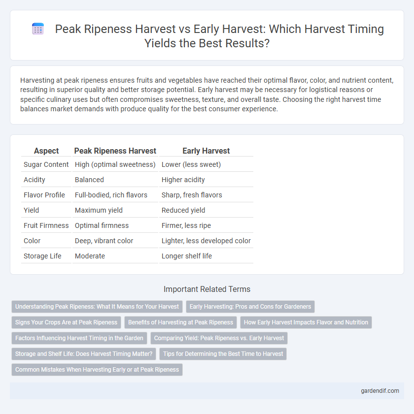 Peak Ripeness Harvest vs Early Harvest: Which Harvest Timing Yields the Best Results?