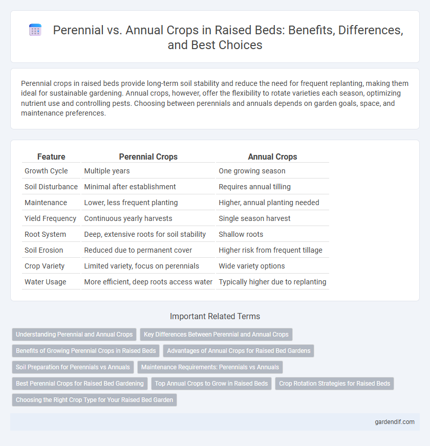 Perennial vs. Annual Crops in Raised Beds: Benefits, Differences, and Best Choices