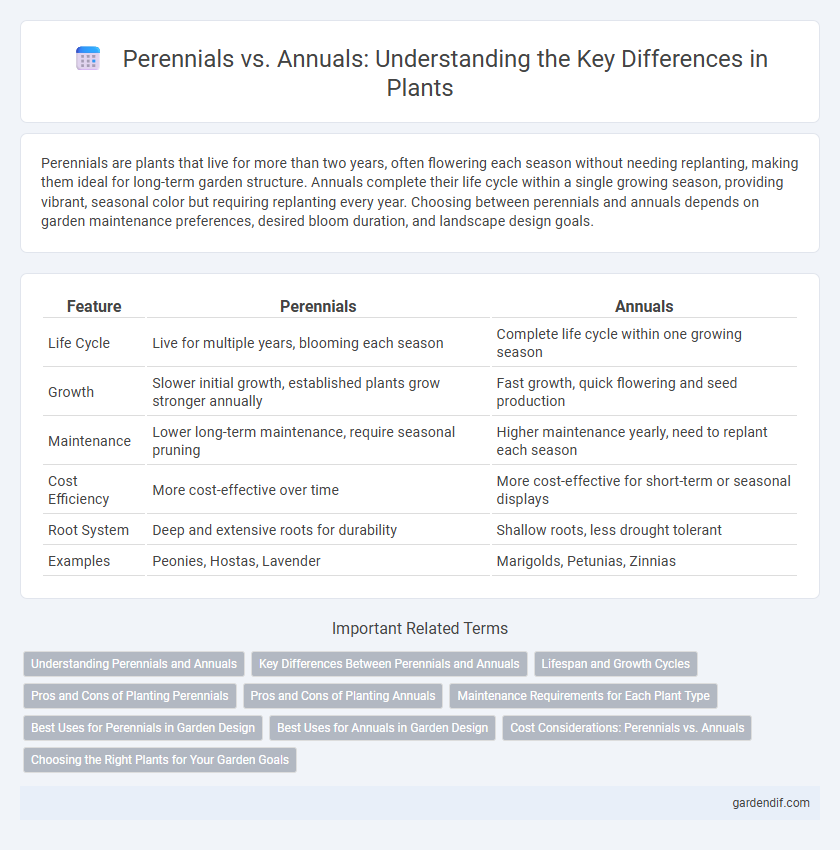 Perennials vs. Annuals: Understanding the Key Differences in Plants
