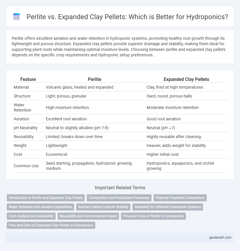 Perlite vs. Expanded Clay Pellets: Which is Better for Hydroponics?