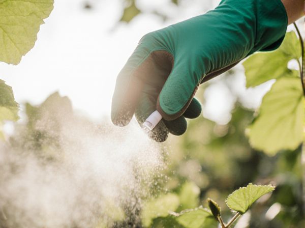 Pheromone Traps vs Light Traps: Which is More Effective for Pest Control?