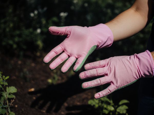 Photoperiodism vs. Photorespiration in Plants: Understanding Their Roles in Sunlight