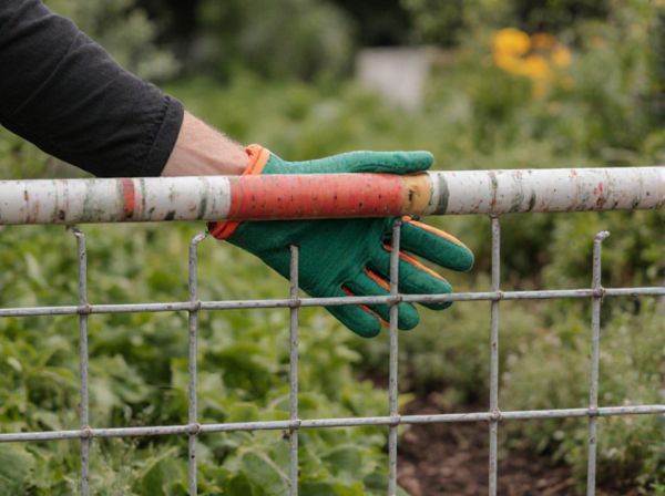 Physical Barriers vs. Pesticide Sprays in Pest Management: Effectiveness and Environmental Impact