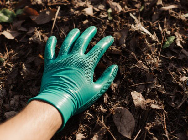 Plastic Mulch vs. Rubber Mulch: Key Differences, Pros, and Cons for Gardeners