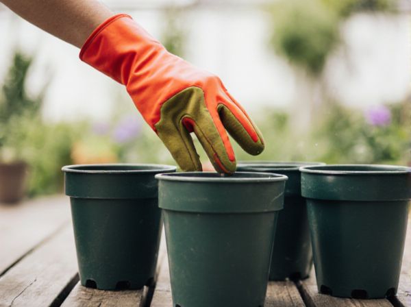 Plastic Pots vs. Ceramic Pots: Which Is Better for Container Gardening?