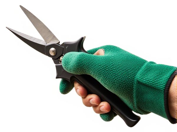 Pruning Shears vs. Loppers: Which Cutting Tool Is Best for Your Garden?