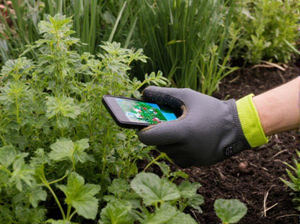 Rain Gardens vs. Dry Gardens: Comparing Sustainable Landscape Design Solutions