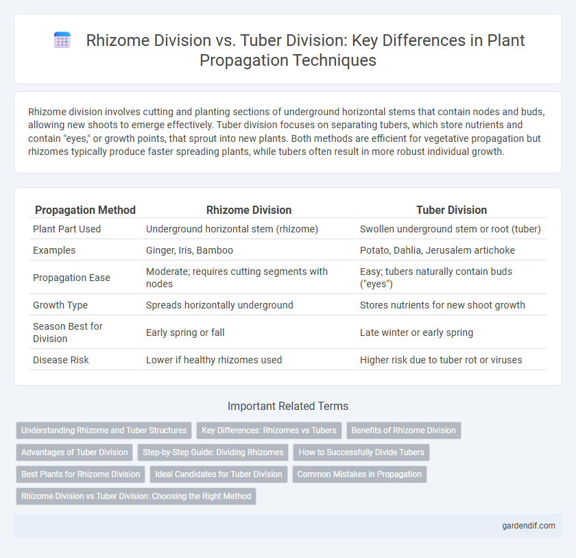 Rhizome Division vs. Tuber Division: Key Differences in Plant Propagation Techniques