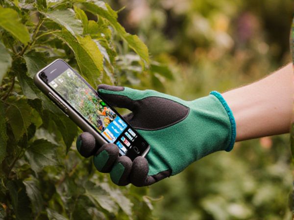 Season Extension vs. Direct Sowing: Which Is Best for Your Climate?