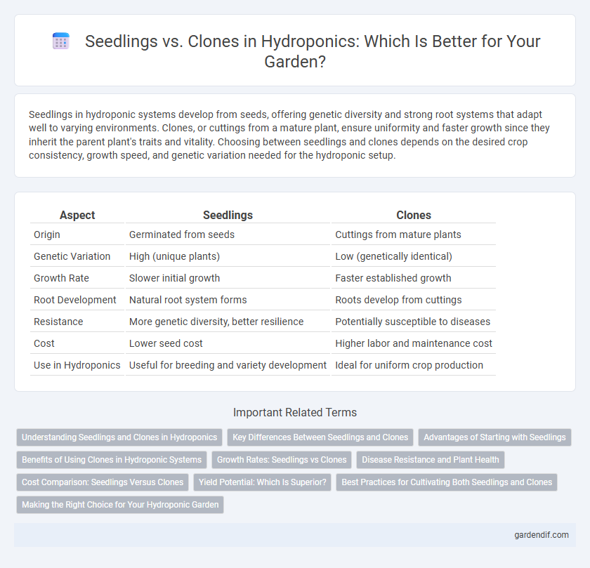 Seedlings vs. Clones in Hydroponics: Which Is Better for Your Garden?