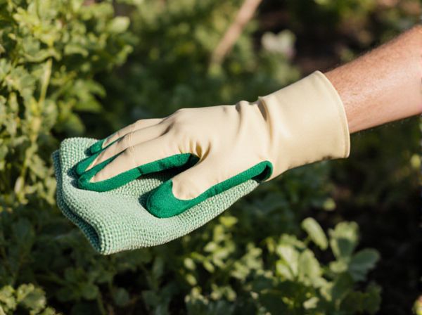 Shade Cloth vs. Natural Shade: Which Is Better for Effective Sun Protection?
