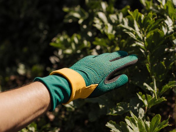 Shade Provision vs. Windbreak Planting in Companion Planting: Benefits and Key Differences