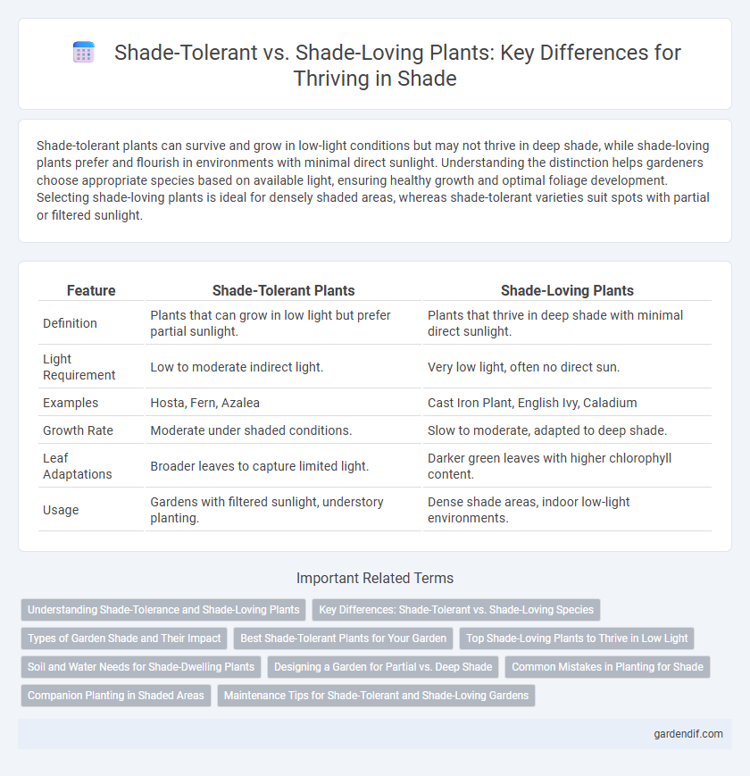 Shade-Tolerant vs. Shade-Loving Plants: Key Differences for Thriving in Shade