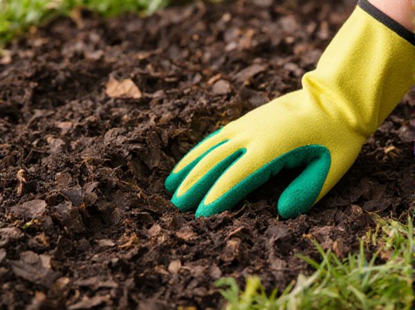 Sheet Mulching vs. Raised Beds: Which Is Better for Permaculture Gardens?