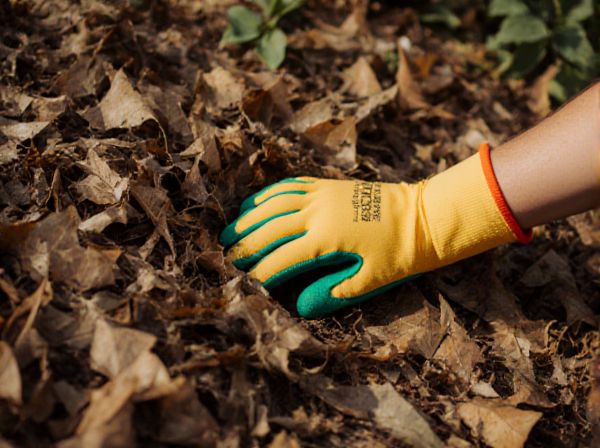 Shredded Leaves vs. Straw Mulch: Which Is Best for Your Garden?