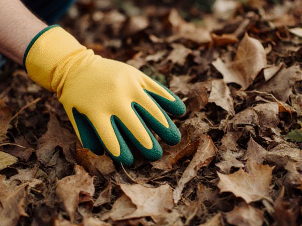 Shredded Leaves vs. Whole Leaves: Which is Better for Composting?