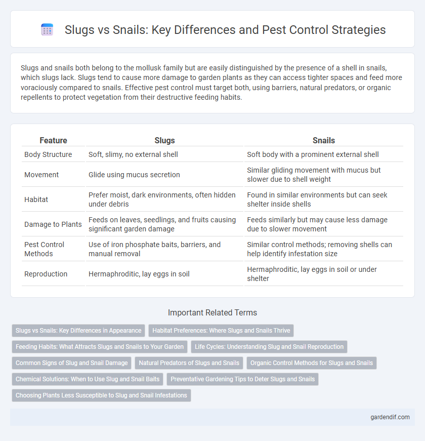 Slugs vs Snails: Key Differences and Pest Control Strategies