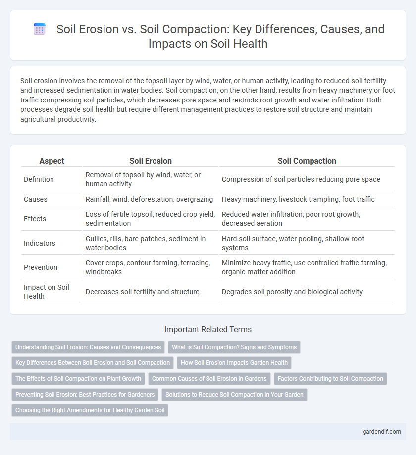 Soil Erosion vs. Soil Compaction: Key Differences, Causes, and Impacts on Soil Health