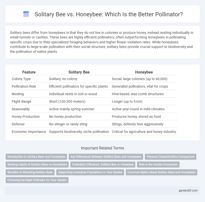 Solitary Bee vs. Honeybee: Which Is the Better Pollinator?