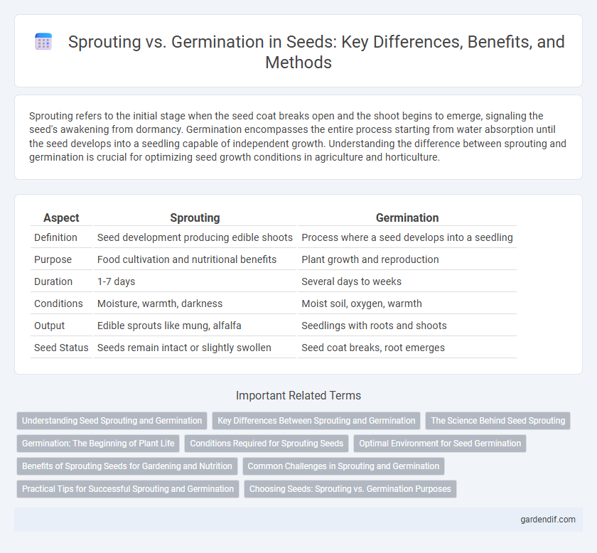 Sprouting vs. Germination in Seeds: Key Differences, Benefits, and Methods