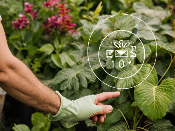 Subtropical vs. Temperate Gardening: Key Differences, Climate Challenges, and Best Practices