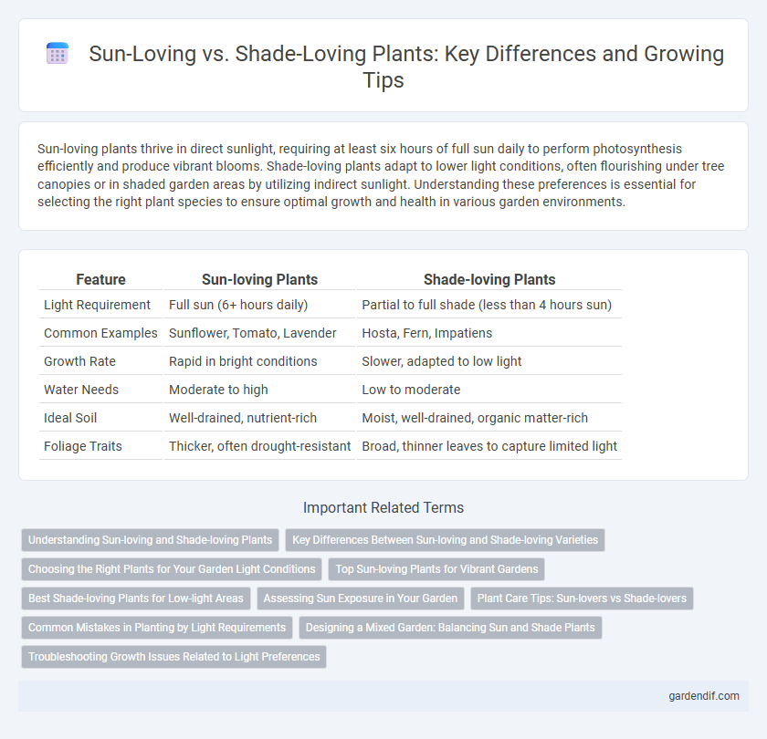 Sun-Loving vs. Shade-Loving Plants: Key Differences and Growing Tips