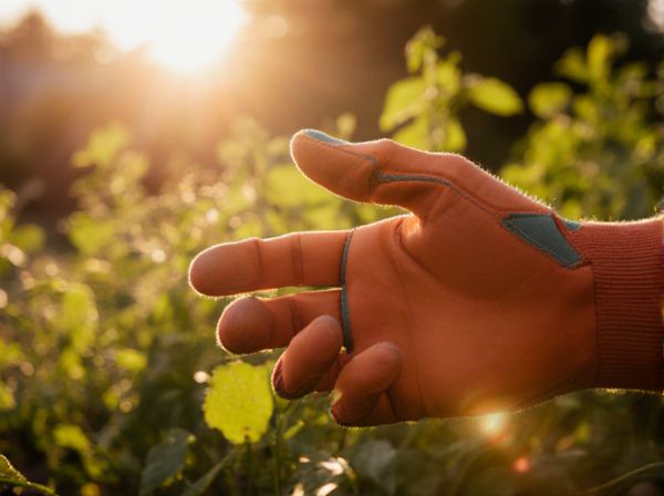 Sun Scorching vs. Sun Bleaching: Key Differences and Effects of Sunlight