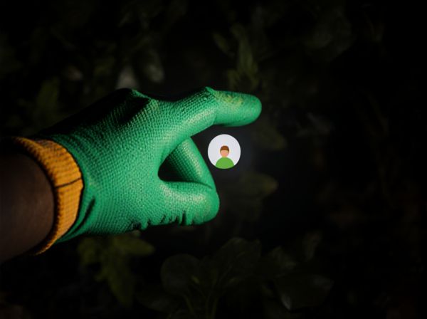 Supplemental Lighting vs Natural Sunlight in Greenhouses: Which Is Best for Optimal Plant Growth?