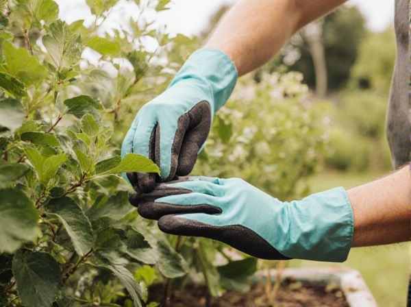 Thermal Mass vs. Forced Air Heating: Which is Best for Greenhouse Efficiency?