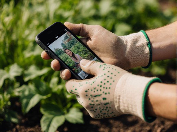 Soil Tilth vs Soil Structure: Key Differences and Their Impact on Soil Health