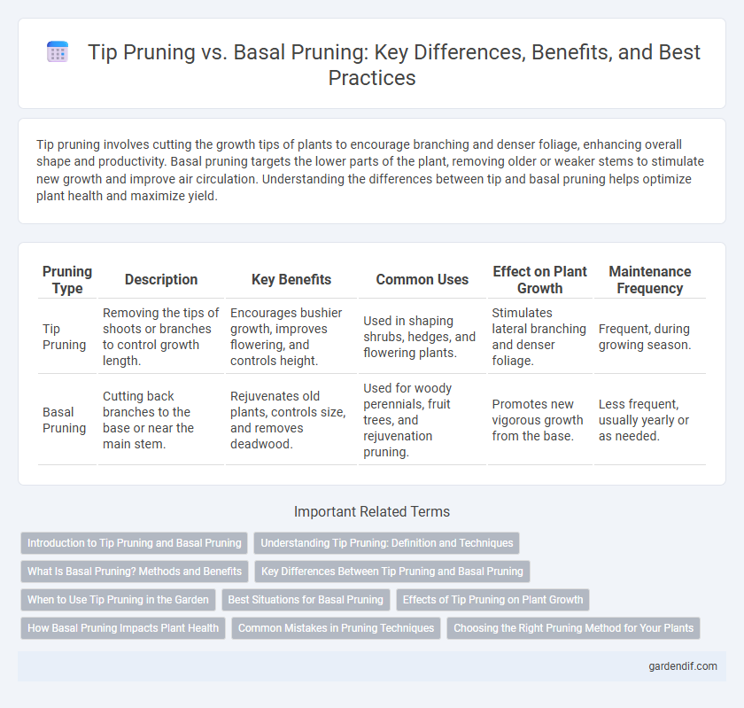 Tip Pruning vs. Basal Pruning: Key Differences, Benefits, and Best Practices