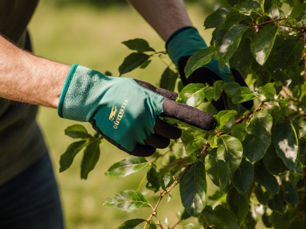 Tree Shade vs Building Shade: Which Provides Better Protection and Comfort?