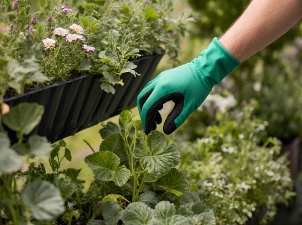 Vertical Gardening vs. Raised Bed Gardening: Which is Best for Growing Edible Plants?