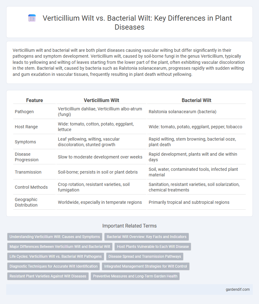 Verticillium Wilt vs. Bacterial Wilt: Key Differences in Plant Diseases