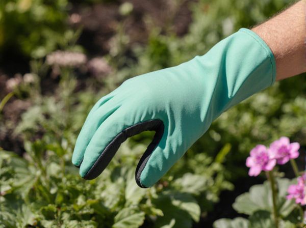 Viability Testing vs. Germination Testing in Seeds: Key Differences and Practical Applications