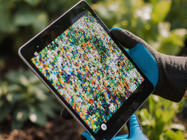 Viral Mosaics vs. Fungal Leaf Spots: Key Differences, Identification, and Management