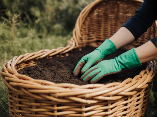 Wicking Bed vs. Bottom-Watered Container: Which Is Best for Container Gardening?