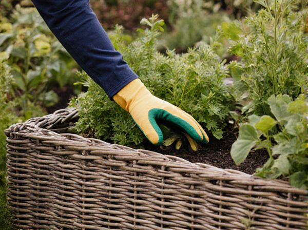 Wicking Beds vs. Sub-Irrigated Planters: Which Is Better for Container Gardening?