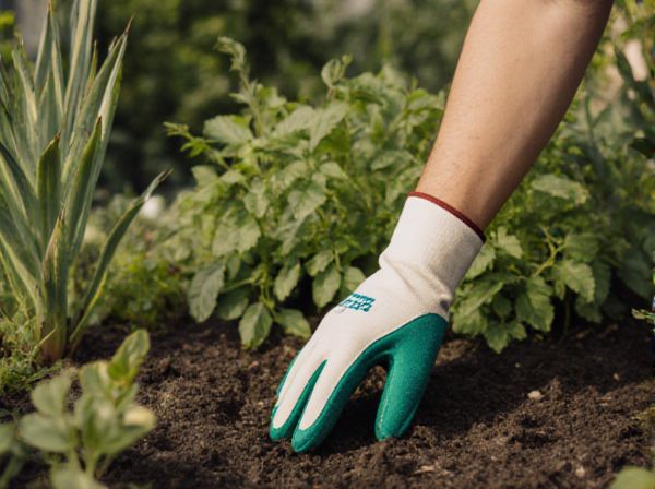 Wilt vs Blotch: Key Differences in Plant Disease Symptoms and Management