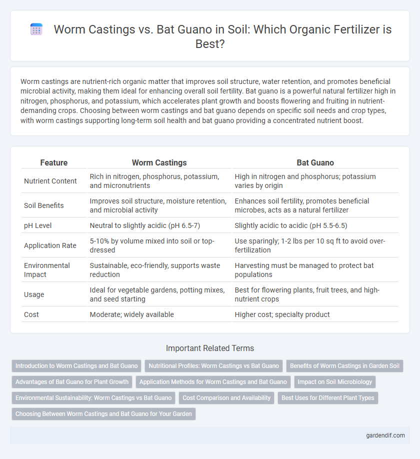 Worm Castings vs. Bat Guano in Soil: Which Organic Fertilizer is Best?